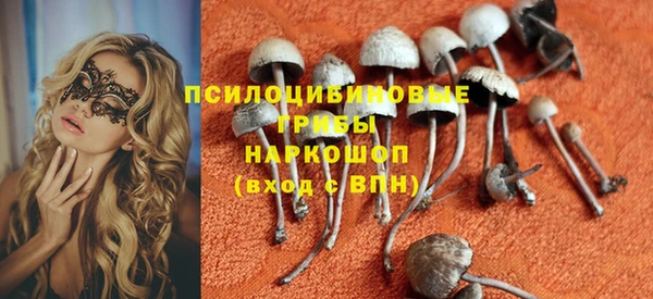 гидропоника Балахна
