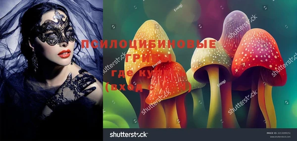 гидропоника Балахна