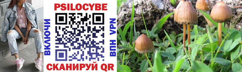 гидра   закладки  Магас  даркнет формула  Псилоцибиновые грибы Psilocybine cubensis 